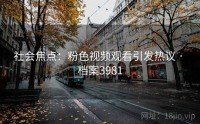社会焦点：粉色视频观看引发热议 · 档案3981