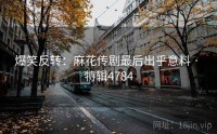 爆笑反转：麻花传剧最后出乎意料 · 特辑4784