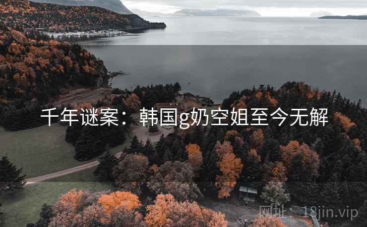千年谜案：韩国g奶空姐至今无解