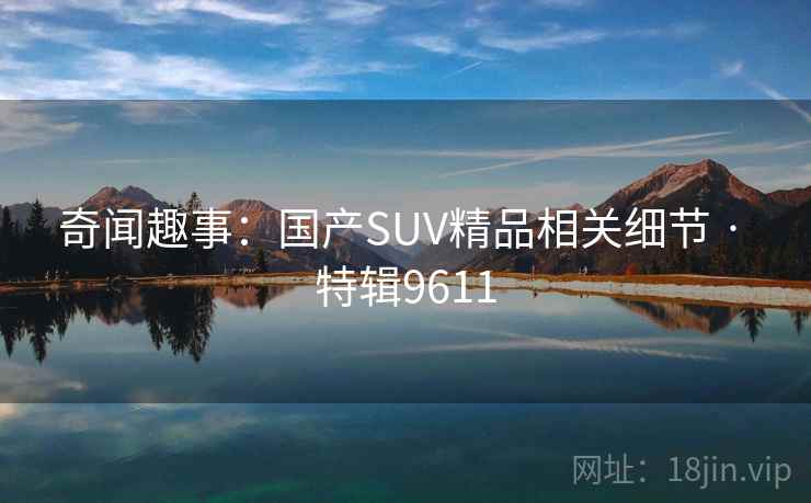 奇闻趣事:国产SUV精品相关细节 · 特辑9611 奇闻趣事:国产SUV精品相关细节 · 特辑9611