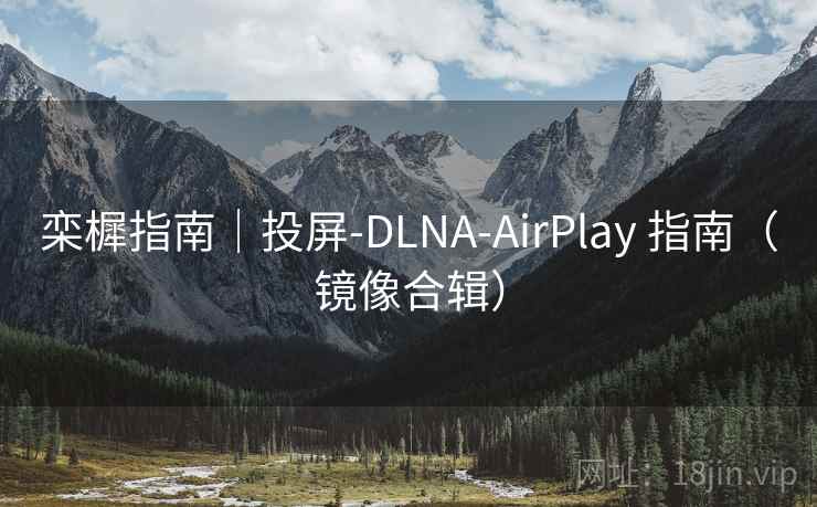 栾樨指南|投屏-DLNA-AirPlay 指南(镜像合辑) 栾樨指南|投屏-DLNA-AirPlay 指南(镜像合辑)