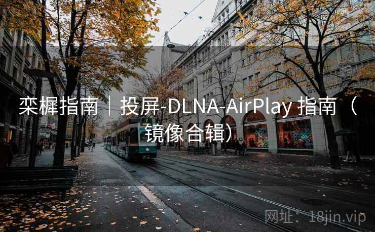 栾樨指南|投屏-DLNA-AirPlay 指南(镜像合辑) 栾樨指南|投屏-DLNA-AirPlay 指南(镜像合辑)